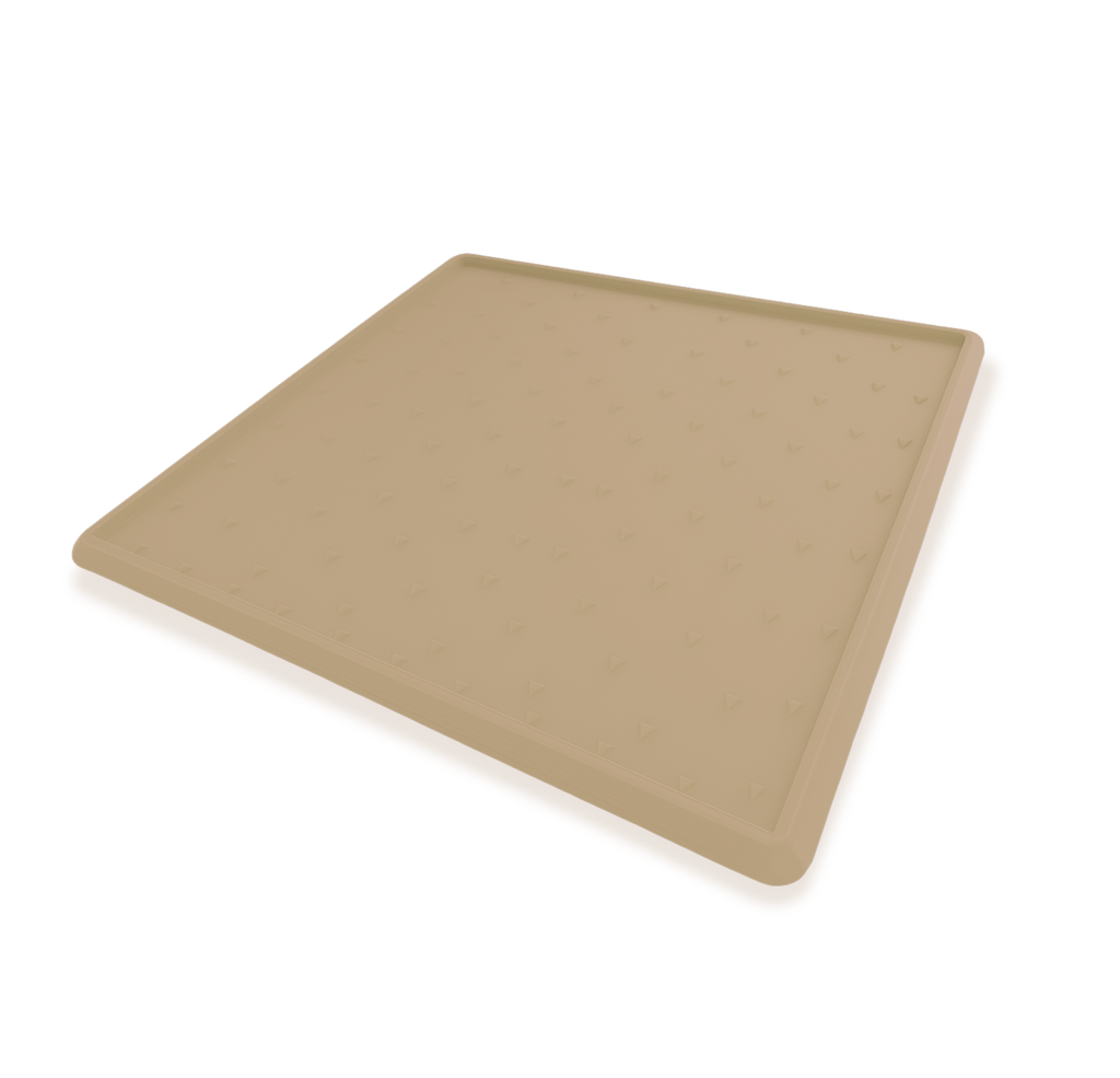 Pet Entry Mat with removable carpet