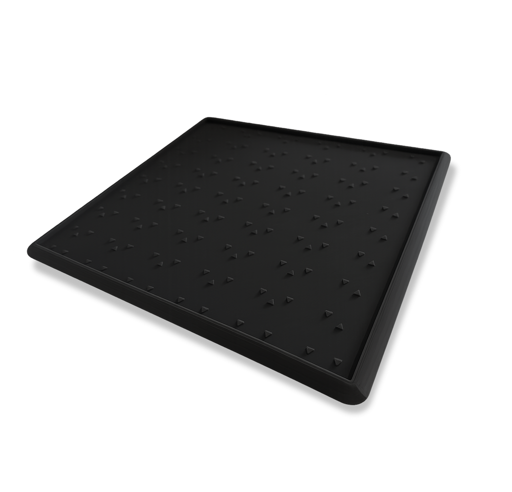 Pet Entry Mat with removable carpet