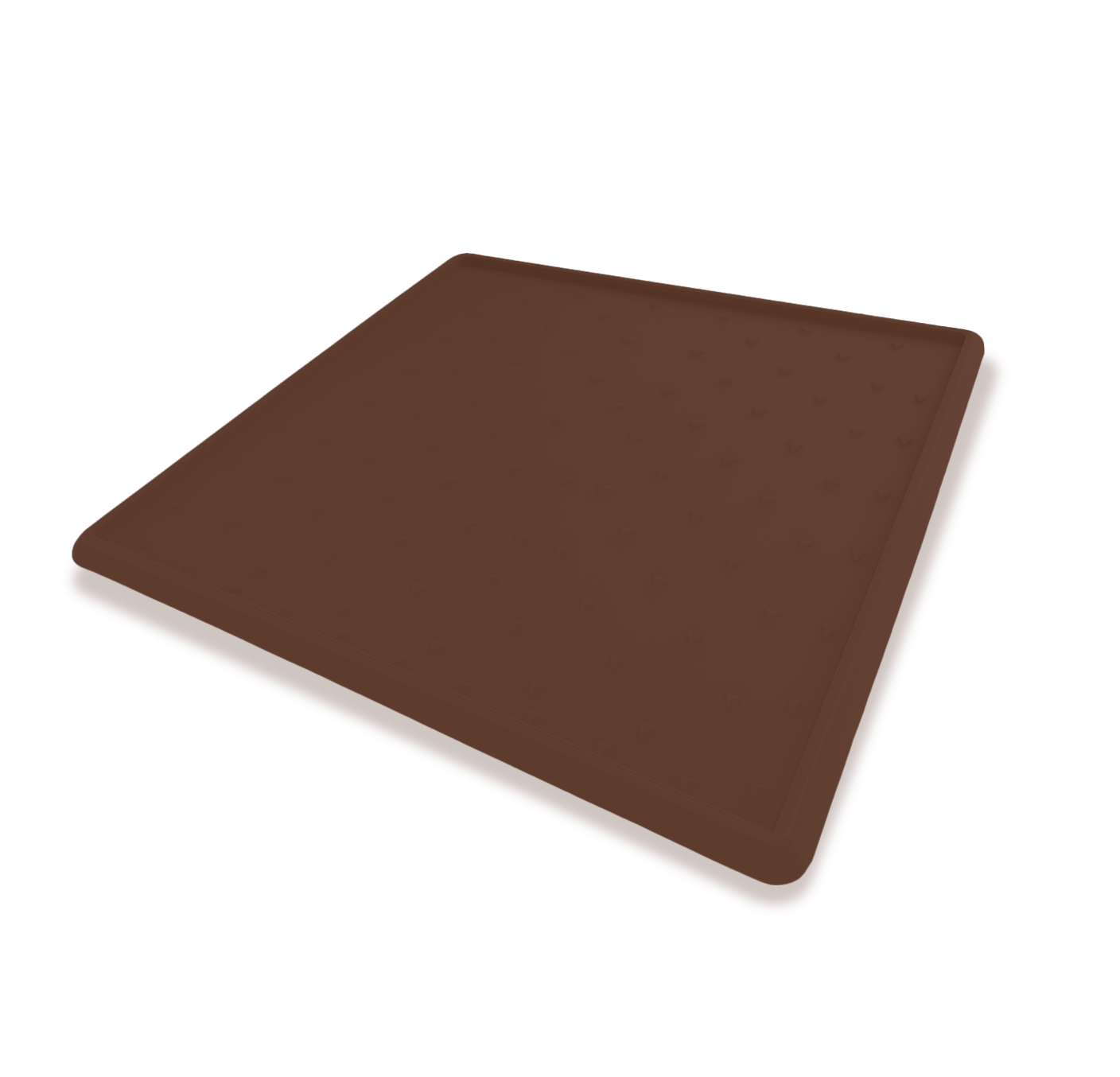 Pet Entry Mat with removable carpet