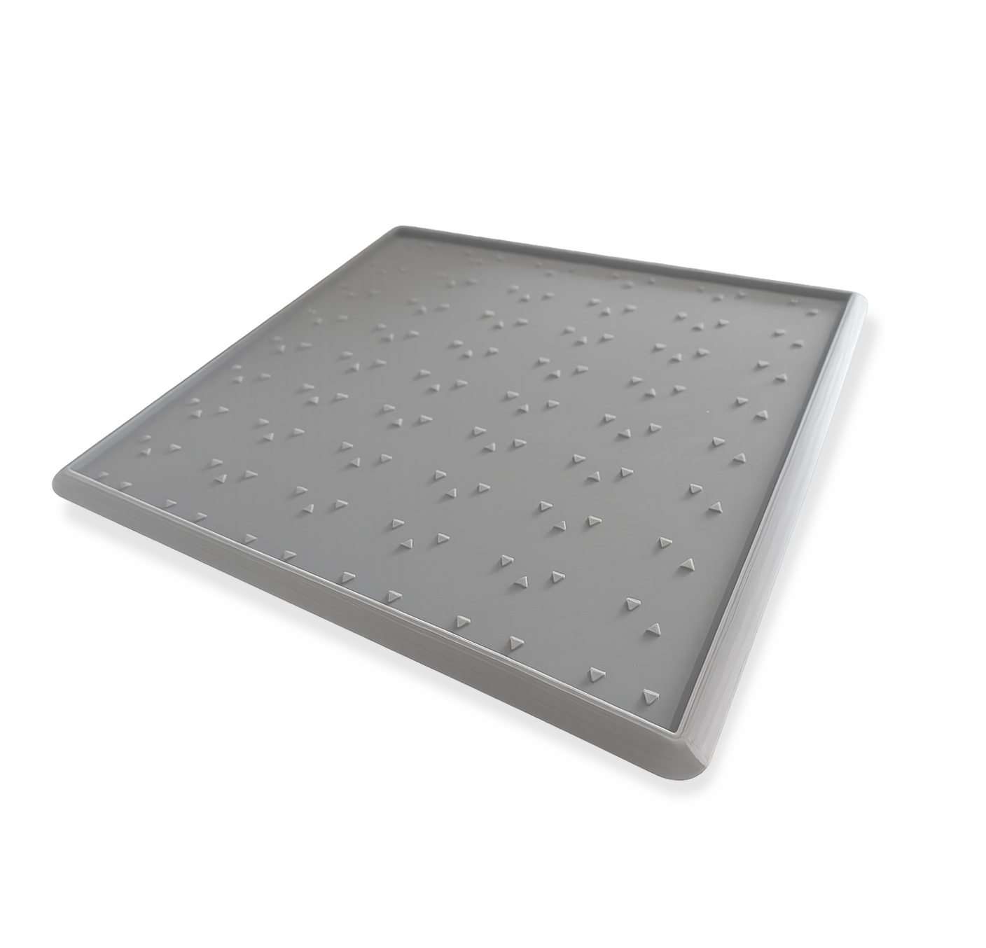 Pet Entry Mat with removable carpet