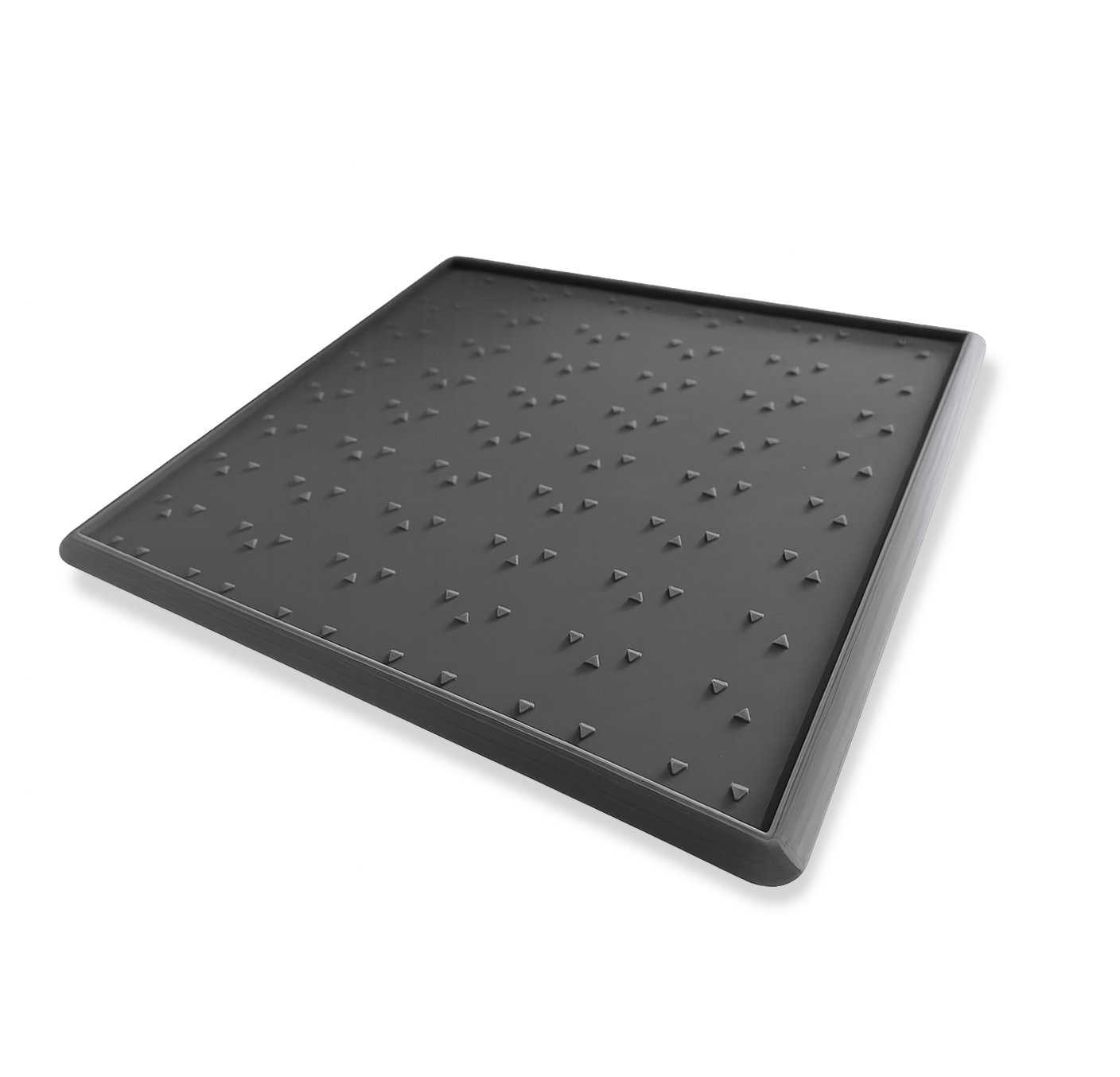 Pet Entry Mat with removable carpet