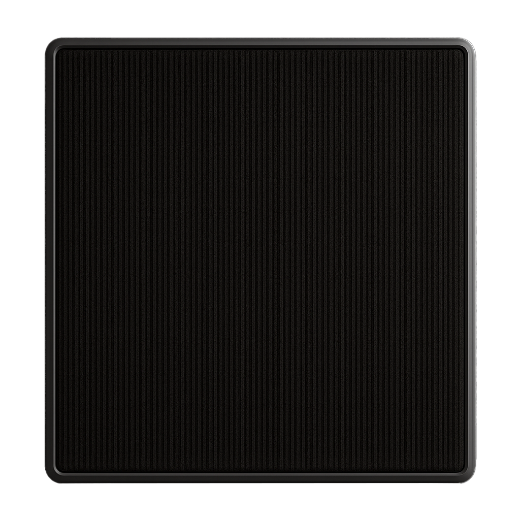 Pet Entry Mat with removable carpet