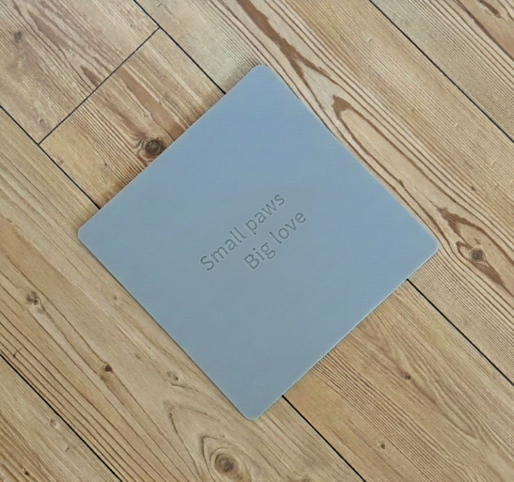 Pet Entry Mat with removable carpet